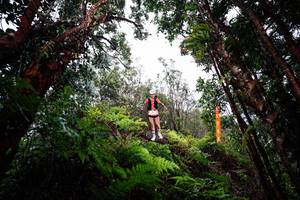 BIB: 
                            <button type="button" onclick="openModal(26204948)" class="btn btn-primary btn-sm float-right btn-popup" data-toggle="modal" data-target=".modal-high-quality">
                        <i class="fas fa-shopping-cart"></i> Add to Cart
                    </button>
                                            <button type="button" onclick="isThisMe(26204948, true)" class="btn btn-success btn-sm float-right btn-popup btn-isme hidden" data-toggle="tooltip" data-placement="bottom" title="นี่คือรูปของคุณใช่ไหม คลิกที่นี่เพื่อเอาเข้าอัลบั้ม">
                        <i class="fas fa-plus"></i> Add to album
                    </button>
                    <button type="button" onclick="isThisMe(26204948, false)" class="btn btn-warning btn-sm float-right btn-popup btn-isnotme hidden">
                        <i class="fas fa-ban"></i> Remove from album
                    </button>